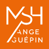 MSH Ange Guépin